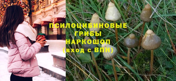 соль курить ск Арсеньев