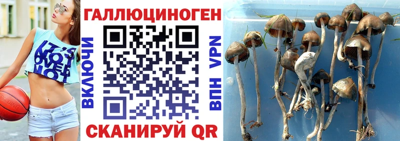 Галлюциногенные грибы прущие грибы  площадка наркотические препараты  Истра 