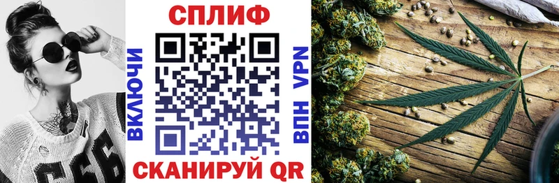 Бошки марихуана конопля  Истра 